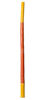 Marikuku Wirrpanda Yidaki (YI311)